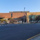 동네맛집 이미지