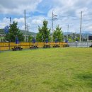 기장애견 이미지