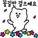 한아름플라워 - 유성구 진잠로 77 | 한아름플라워