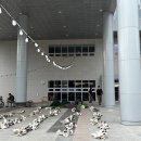 영화상영 | 성남 야탑유스센터 야외영화상영 렌탈 후기 | 풋풋 별빛축제 무비여름밤