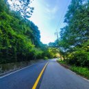 번암무룡고개로 이미지