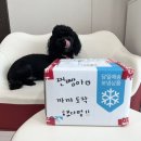 댕이밥상 이미지