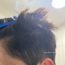 셀프다운펌 추천 벨모어이공 남자 다운펌 후기