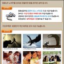 기초 스페인어 이미지