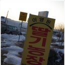 이영돈딸기 이미지