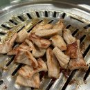 이지비야 이미지