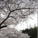 안민고개길 이미지