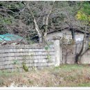 율리영해로 이미지