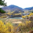산수유집