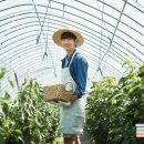 만지원농장 이미지