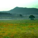 광산구-157 이미지