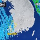 할렐루야타이어 이미지