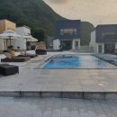 세인트21 티스토리