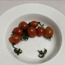 단마토유통