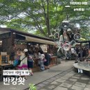 치앙마이 반캉왓 예술가 마을 방문후기 (소품샵, 그래프커피 카페, 운영시간)