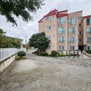 제주2공항OK공인중개사사무소 | [매매] 제주시 노형동｜전세보다 저렴한 올리모델링 3룸! 학세권 펠리체 빌라 [B-2693]