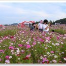 하늘정원3 이미지