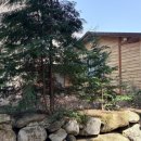 아랫집 | 순천 조계산 보리밥집 아랫집 후기 | 선암사 송광사 코스 중간 맛집 | 올라가는 길부터 쉽지 않앗던 그...