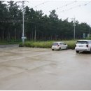 강릉한우만 이미지