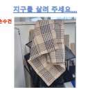 정평지구2 이미지
