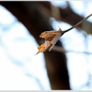 주식회사 상림 이미지