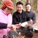 장성편백체험장 이미지