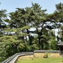 용평동 용호정 | 오연정 : 밀양 명소 · 가볼 만한 곳 · 국가유산 답사