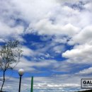 에이치gallery 이미지