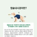 도촌 동물병원 이미지