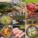 도토리캐빈 | 하루종일 먹고 놀기만 한 양평 여름휴가 (계곡 백숙 캐빈브리즈)