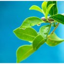 Secret PC cafe | 상품후기 노키아 익스프레스 뮤직 5800 일주일 사용기