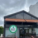 다운애견 이미지