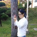 한국폴리텍대학Ⅳ