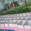 아이킹어린이집 이미지