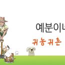 예분 이미지