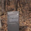 장동로~산디로 이미지