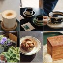 카페은목서 | (전북/군산) 야외 정원 & 테라스가 있는 한적하고 감성적인 로스팅 카페 "은목서" 내돈내산 후기
