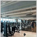 웰니스핏 이미지