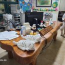 이동규소아과의원 이미지