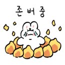 사랑손팥죽 이미지