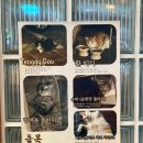 율목애견 네이버블로그