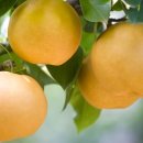 이화가든 이미지