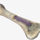 수정동물병원 이미지