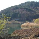 솔마루길 신선산 이미지