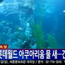 롯데월드아쿠아리움 이미지