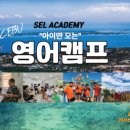 시그너스영어