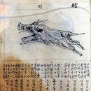 간지1985 이미지