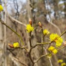 대현중학교 이미지