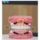 충주서울연세치과의원 이미지