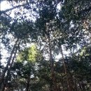 선원금호아파트 이미지